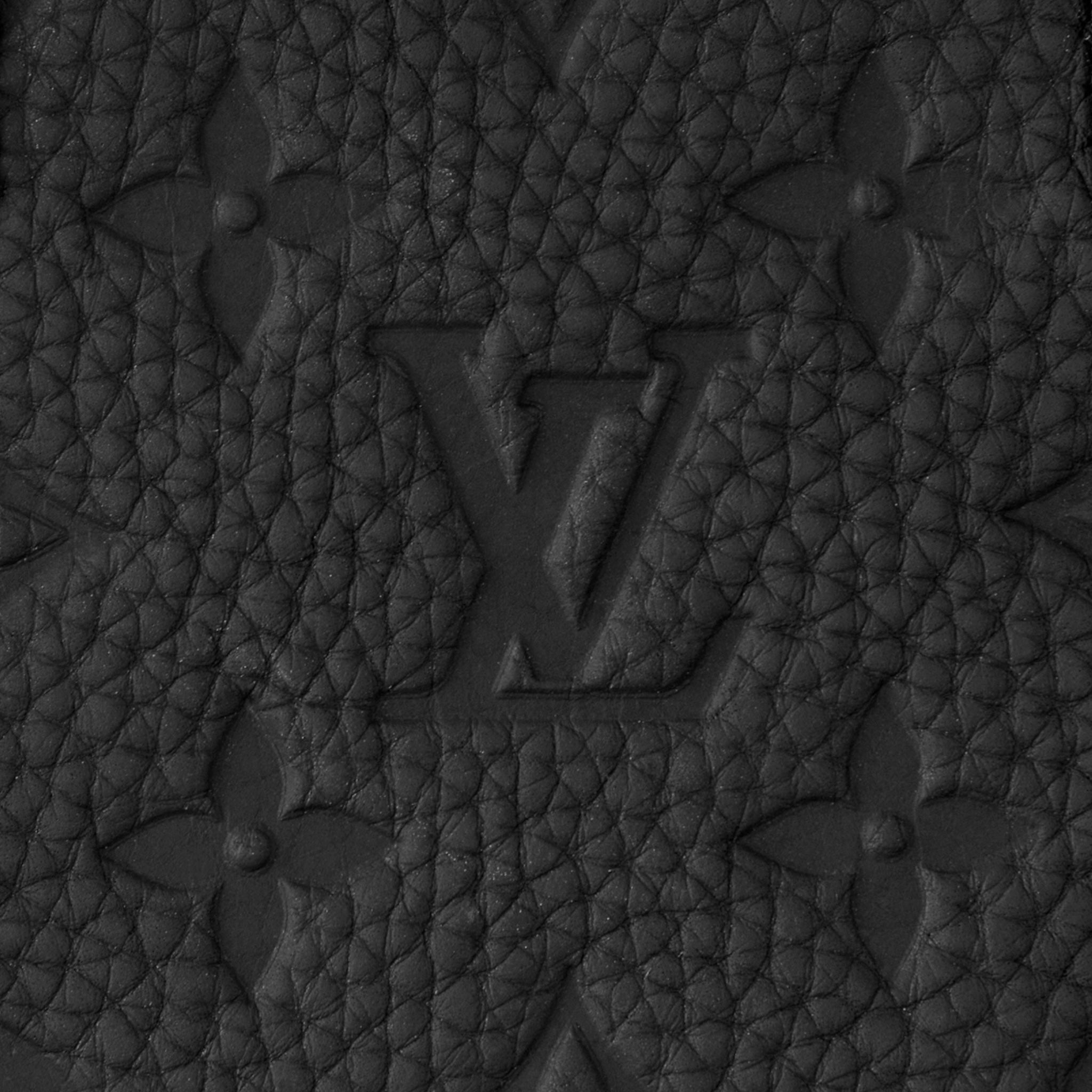 Louis Vuitton Backpack